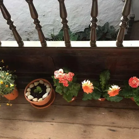 度假居 Encantadora Casa Del Siglo Xviii En Tenerife *