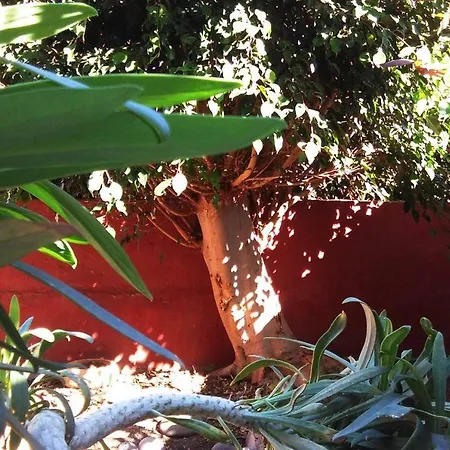 Encantadora Casa Del Siglo Xviii En Tenerife 度假居