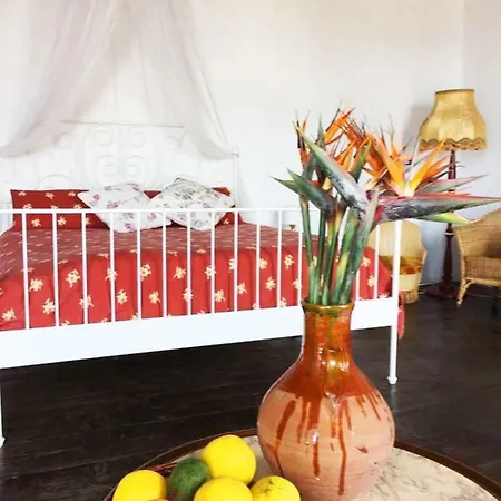 Encantadora Casa Del Siglo Xviii En Tenerife *