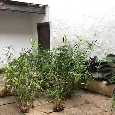 Encantadora Casa Del Siglo Xviii En Tenerife