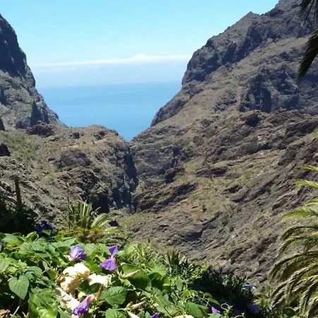 Encantadora Casa Del Siglo Xviii En Tenerife Σπίτι διακοπών *